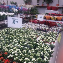 Mobilier de jardin famiflora