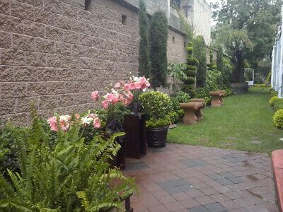 Salon jardin casa blanca zapotitlan