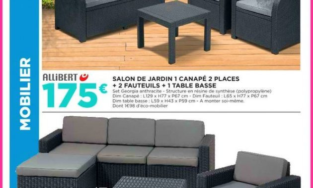 Salon de jardin allibert geant