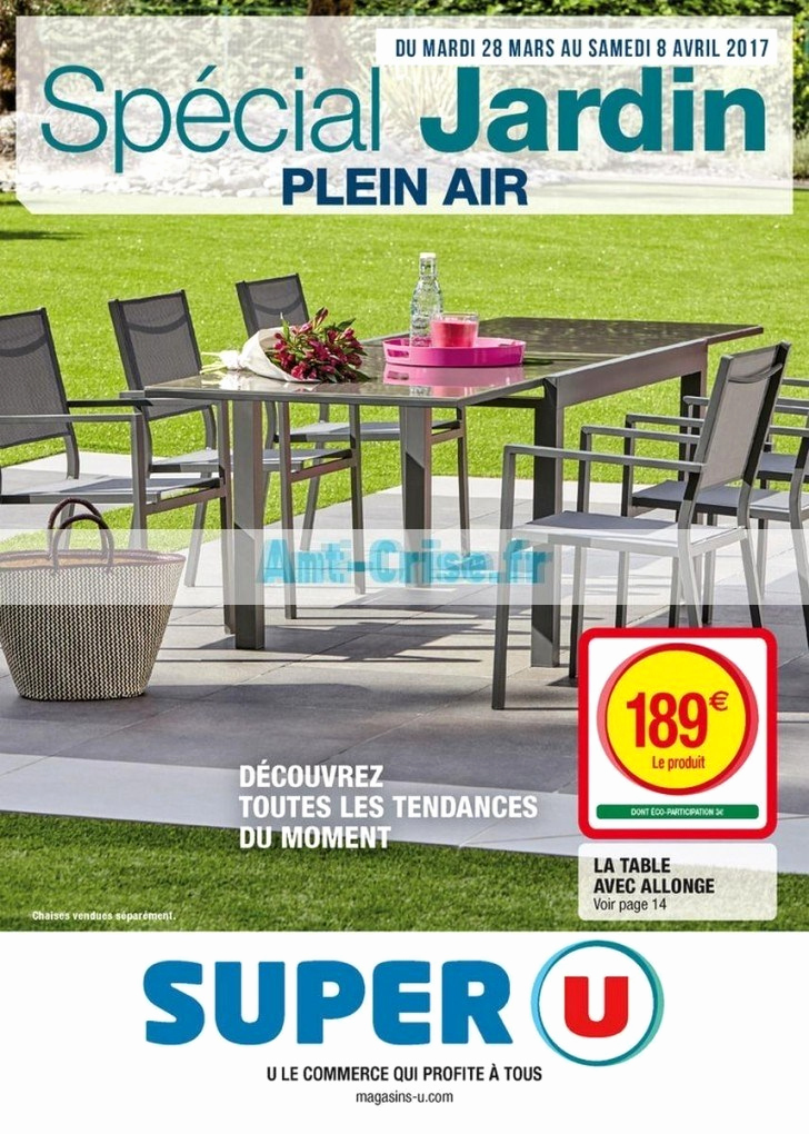 Salon de jardin en resine chez super u