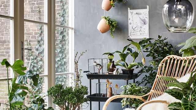 Salon de jardin bois hiver
