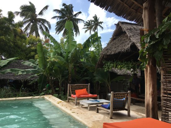 Salon de jardin zanzibar