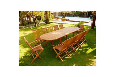 Salon de jardin teck brut