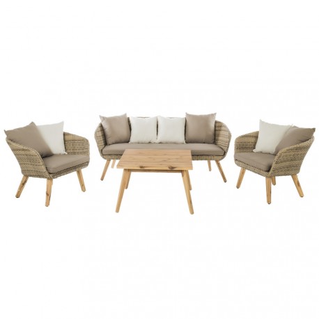Salon de jardin resine tressee et bois